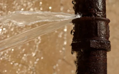 How to Restore Your Home After Water Damage